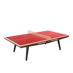 Ping-Pong Table Canvas Professional Size