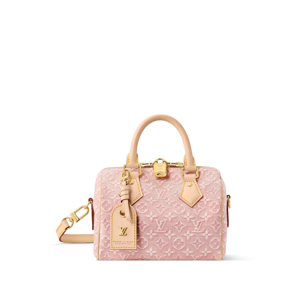 Speedy Bandoulière 20 Bag