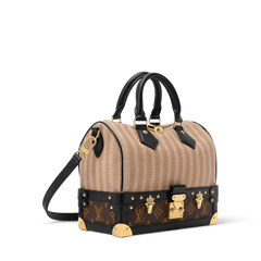 Speedy Bandoulière 22 Bag