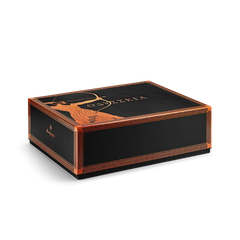 Odyssey Chapter I Rollerball