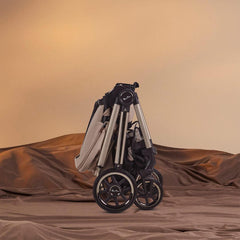 Reef 2 Special Edition