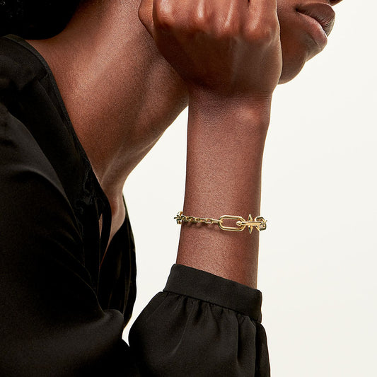 Tiffany Titan by Pharrell Williams - Medium Link Station Bracelet