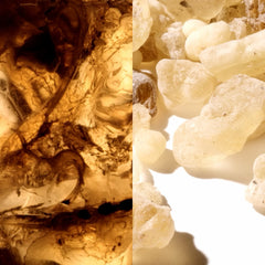 Montblanc Collection Black Meisterstück EDP