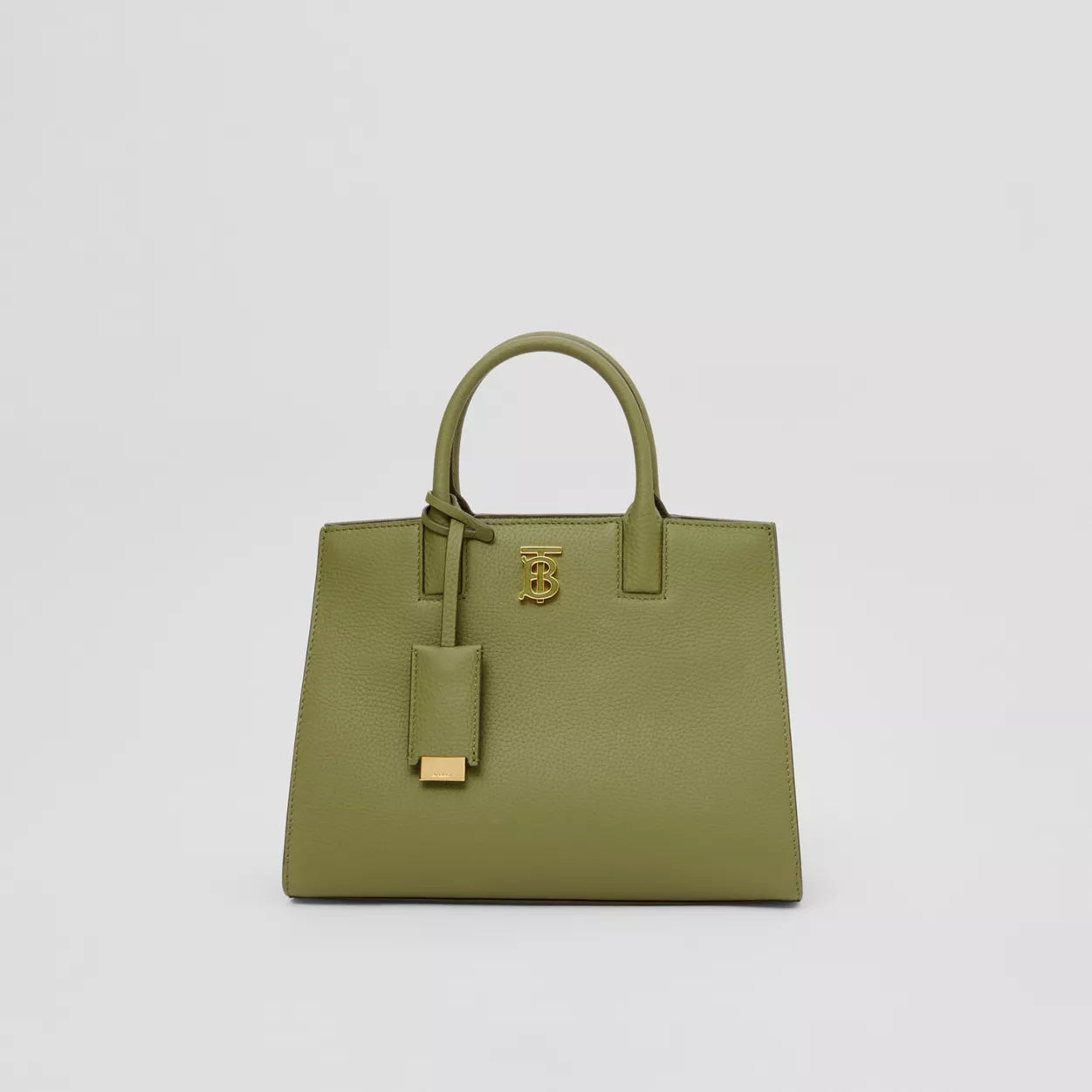 Grainy Leather Mini Frances Bag